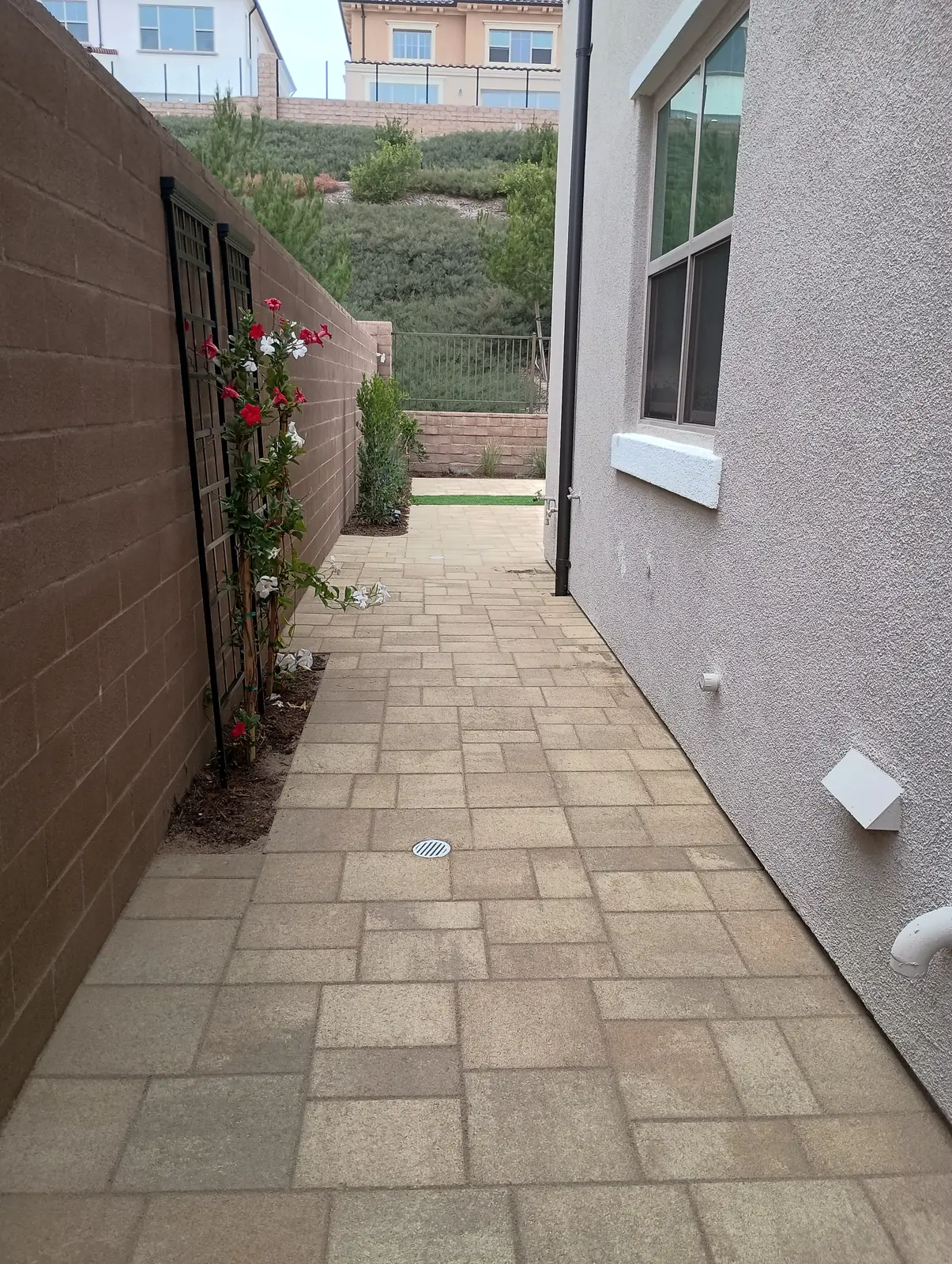 Paver & Turf Backyard — completed view 2