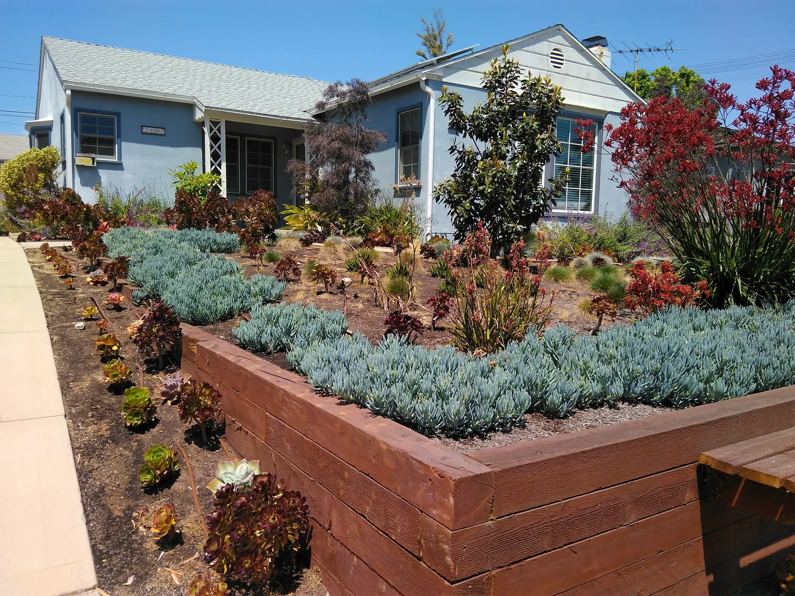 Raised Planter Front Landscape — completed view 2