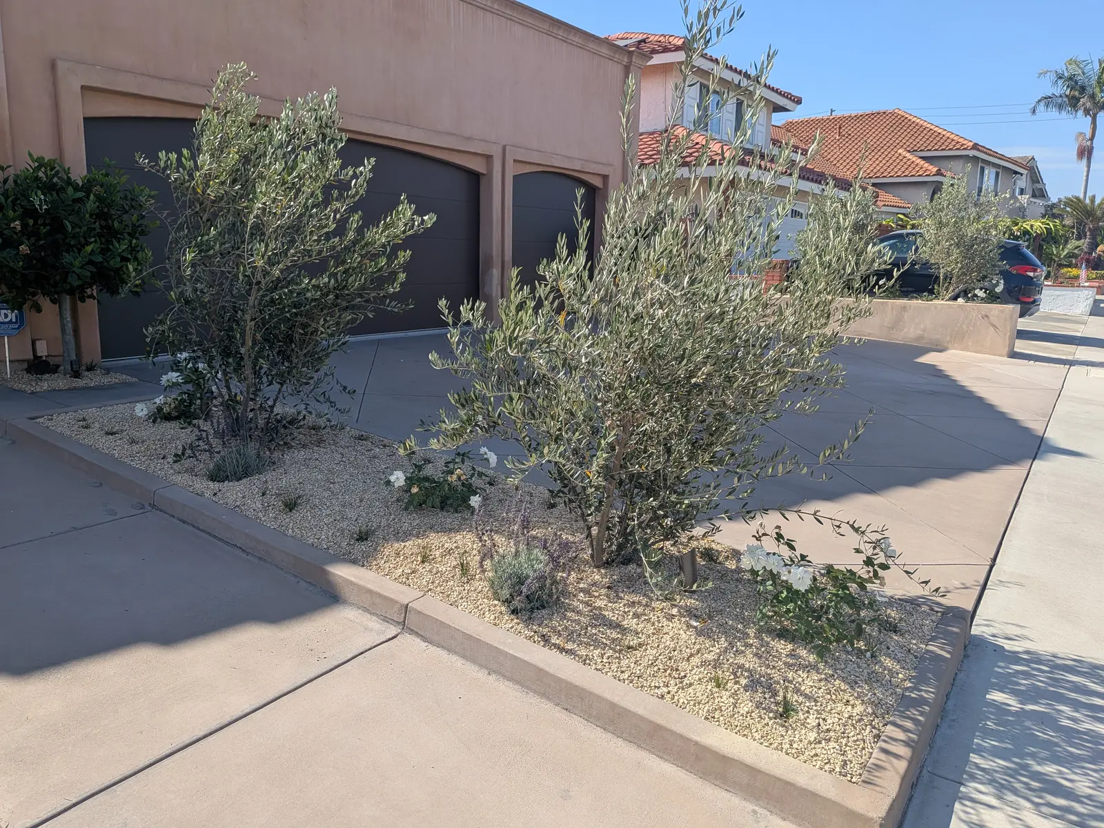 Westminster Front Yard Landscape — completed view 2
