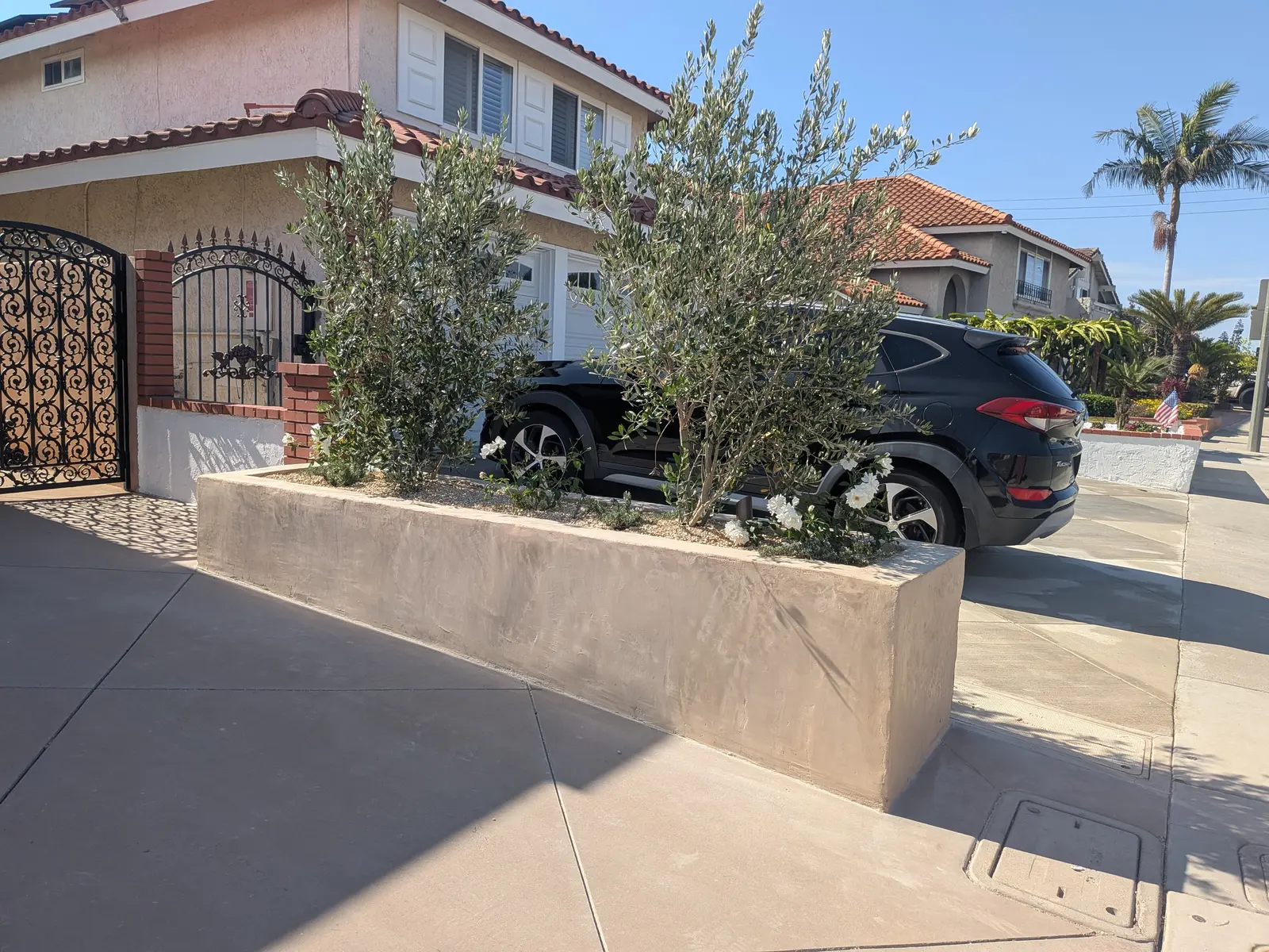 Westminster Front Yard Landscape — completed view 3