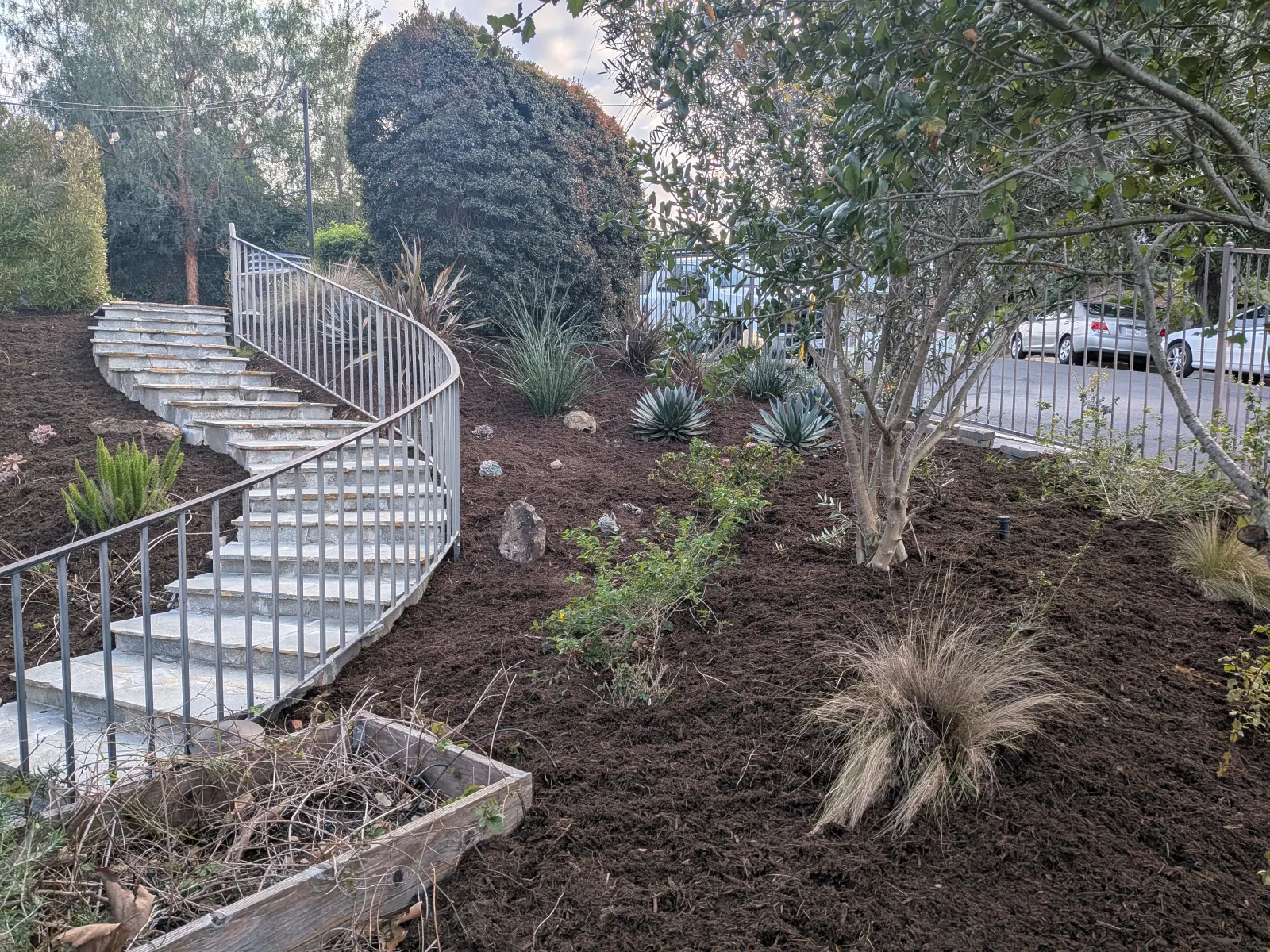 A landscaped hillside with a curved stone staircase, metal handrail, fresh dark mulch, and native plantings.