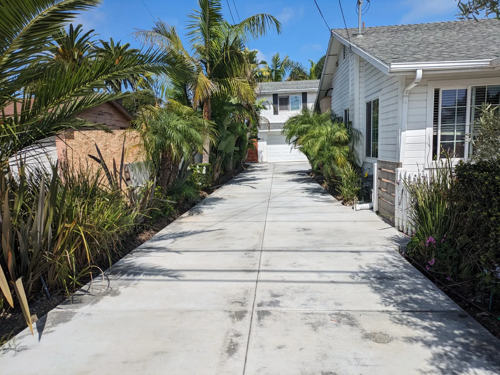 A long, clean concrete driveway lined with palms and lush greenery leading up to a house.