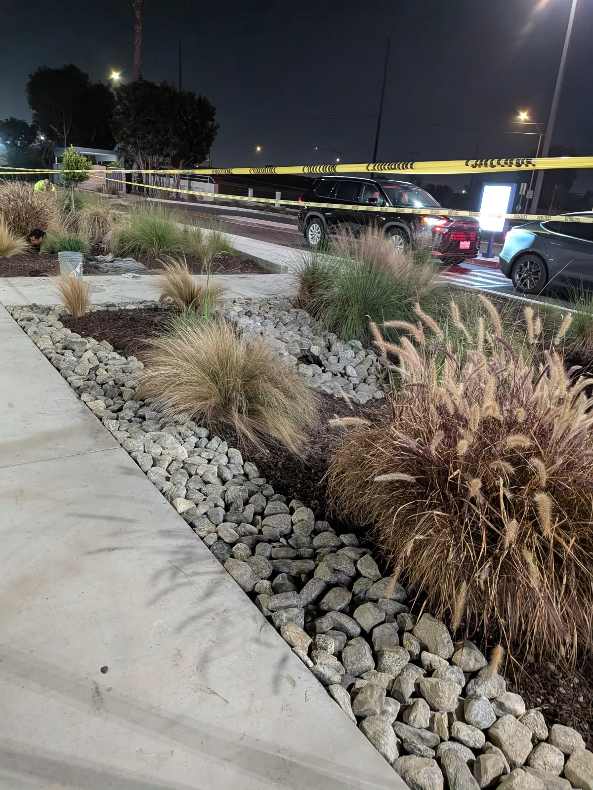 Nighttime shot of decorative stone landscaping bed with dry grasses next to a concrete walkway.