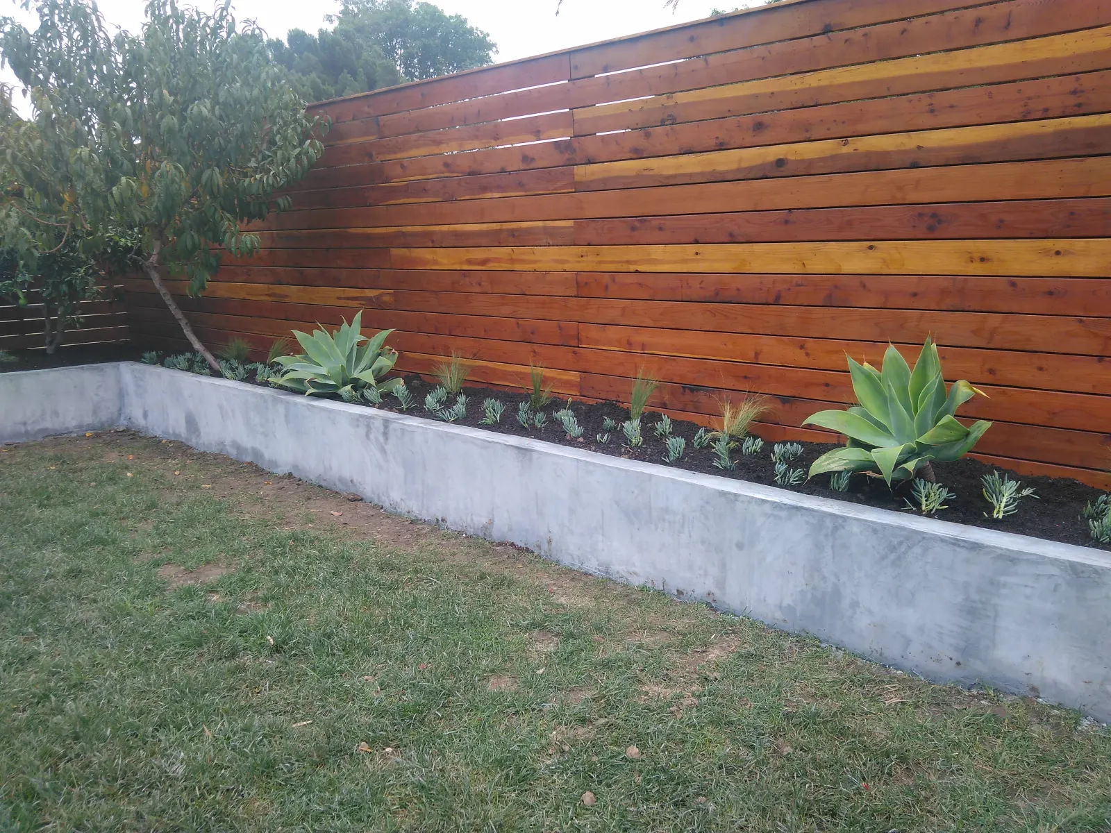 A backyard landscape with a concrete planter wall, green lawn, and a stained horizontal wood fence.