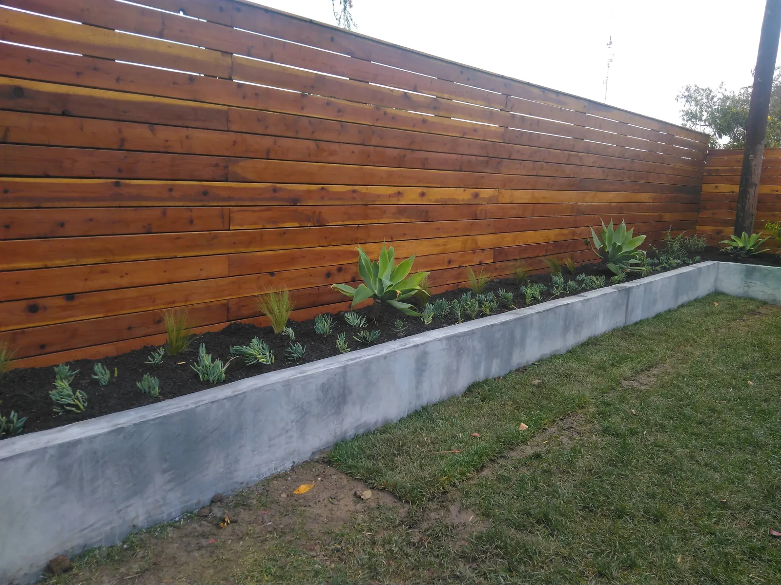 A horizontal redwood privacy fence above a concrete planter filled with succulent plants.