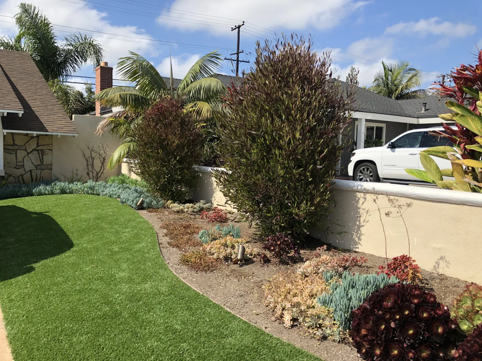 A curved green lawn bordered by a mulched planting bed with purple, green, and dark red shrubs next to a white wall.