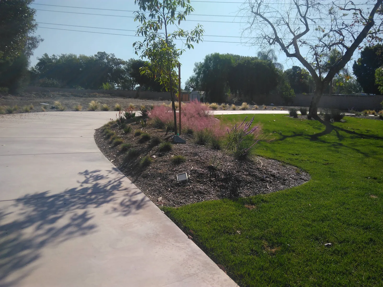A clean, sweeping concrete driveway curving past a landscaped mulch bed with young trees and a green lawn.