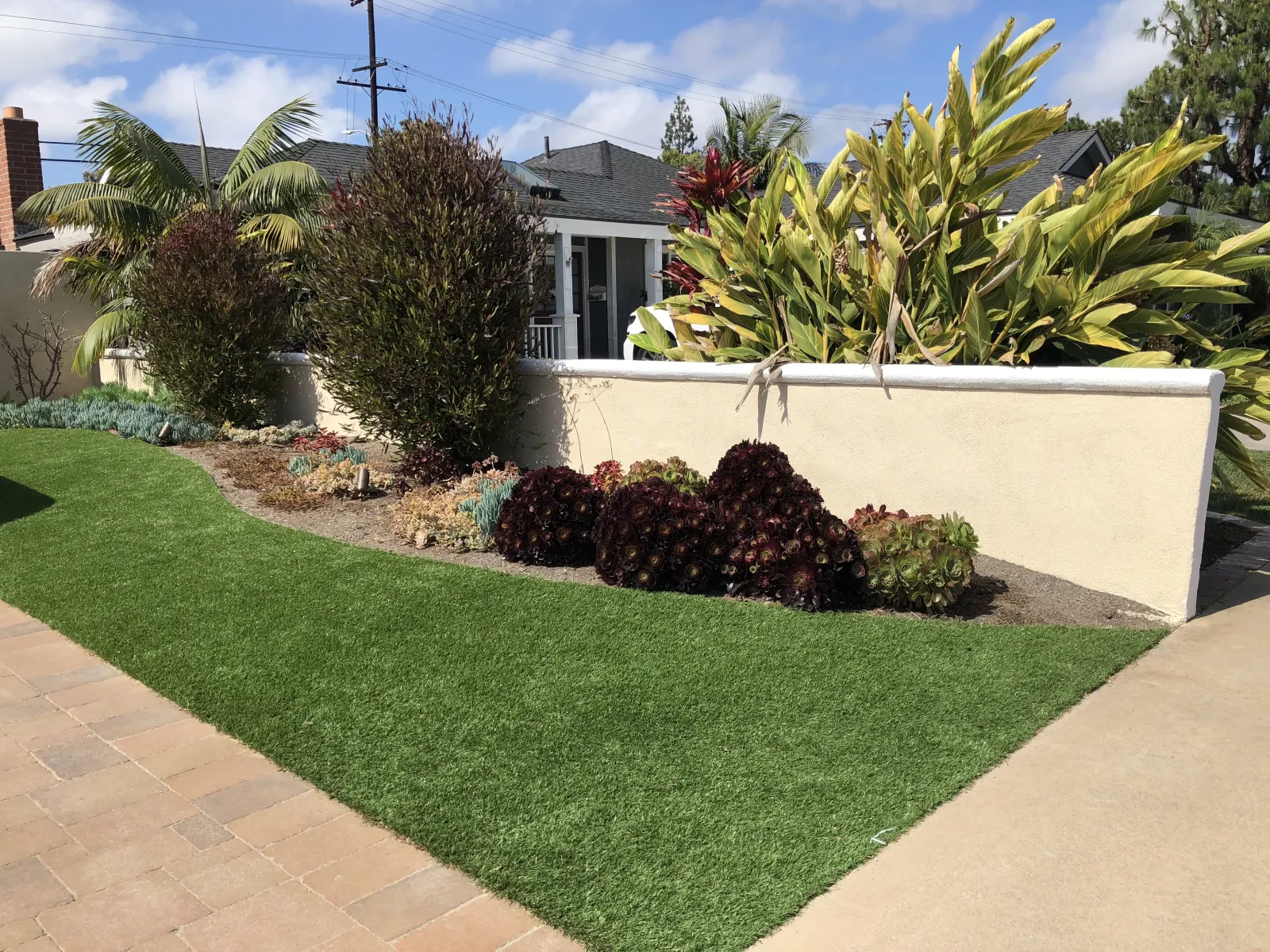 Manicured lawn section bordered by a white stucco planter wall with tropical plants.
